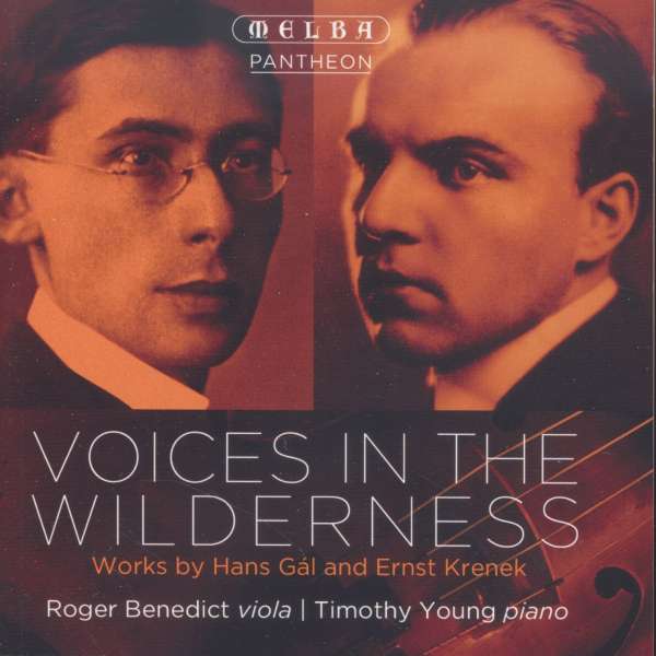 Roger Benedict & Timothy Young - Voices in the Wilderness